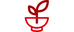 ECOLÒGIC: SOSTENIBLE