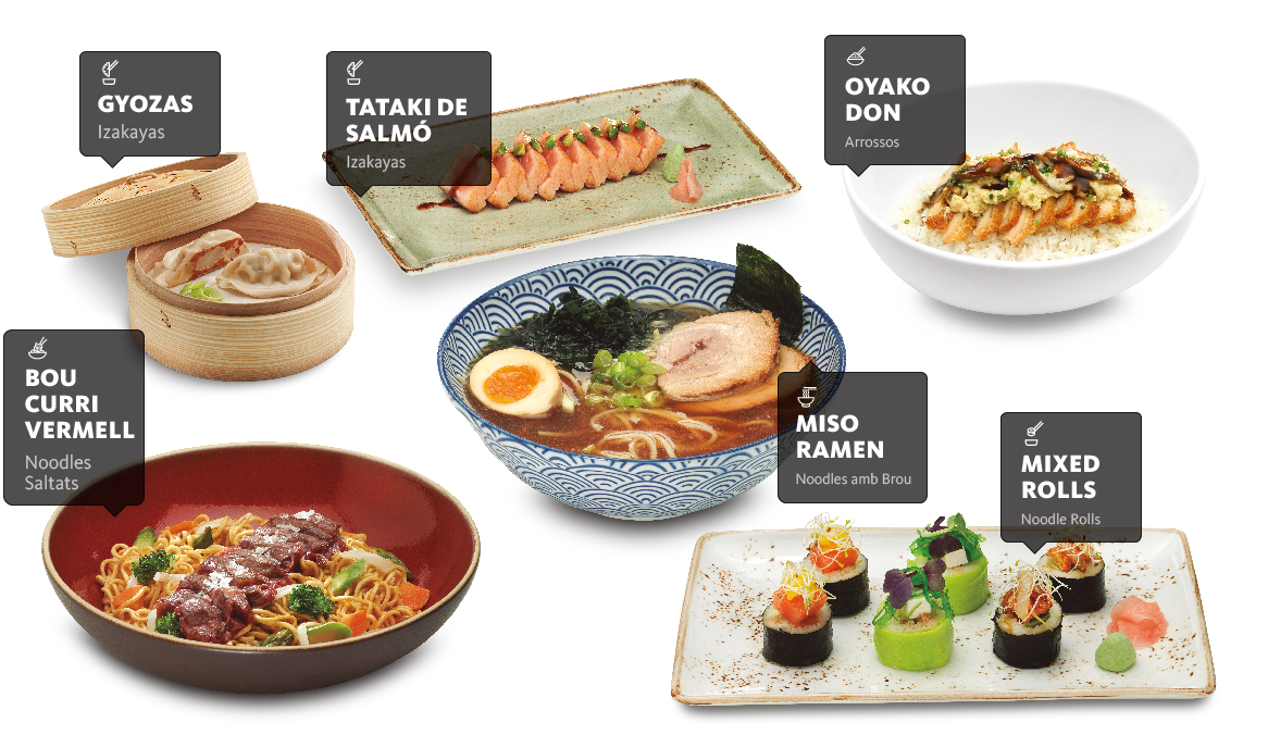 home comidas udon