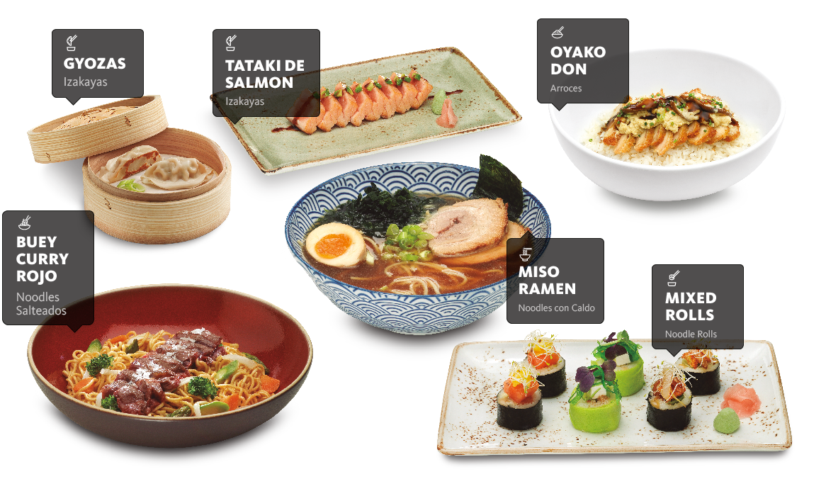 home comidas udon