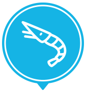 comida pescado