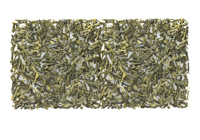 Sencha Japonés
