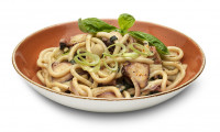 Octopus Thai Udon