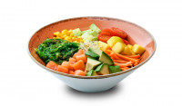 Salmon Pokedon