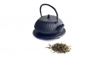 Sencha Japonés